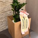 도봉구 방학동 꽃집 정다운화원 개업선물 추천 개업화분 구매 후기