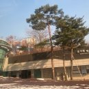 서울봉래초등학교 이미지