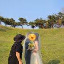 신풍공원 | 본식서브스냅) 영등포구 신풍역 베뉴비안 가성비 본식서브스냅 '이상엽스냅' 계약 후기(내돈내산)