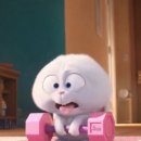 원 피티 이미지