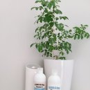 킹콩샤워 이미지