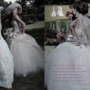 에이메드 이미지