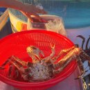 어시장 사거리 은혜병원 앞 | [마산] 마산 어시장 시원회&amp;대게 킹크랩