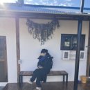 돌담디자인인테리어