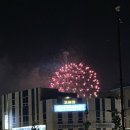 솔향 행정사 사무소 이미지