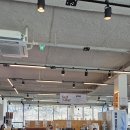 금화왕돈까스 고양오금점 | 금화왕돈까스 고양오금점 후기 | 지축 찐 가성비 돈까스 맛집