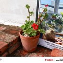 씨유 영도흰여울문화마을점 | 부산광역시 영도구 흰여울문화마을 방문 후기