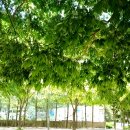 유시민 &#34;조희대의 사법쿠데타, 막을 수 있다&#34; 우리의 신경안정제의 냉정한 전망 확인하세요! 이미지