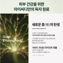 거꾸로 나이 인셀덤