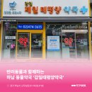 감일태평양약국 네이버블로그