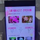 목포고등학교 | 국립호남권생물자원관,한국의섬온실관람후기.