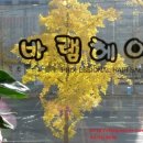 JK헤어 - 거창군 | JK헤어