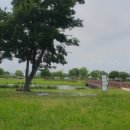 낙동강관리본부 화명생태공원 15 이미지