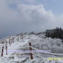 큰산공인중개사사무소 이미지