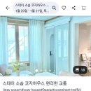 스테이소솜 이미지