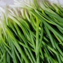 고평 마을회관 이미지