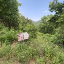 별과달민박 이미지