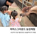 상주 아기랑 가볼만한 곳 파머스그라운드 농장체험 동물 먹이주기