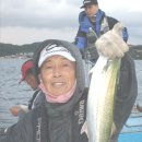 포항 신항만 삼치 루어 이미지
