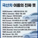 국산차 이름 이미지