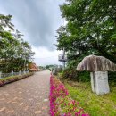 승일공원(승일교) 이미지