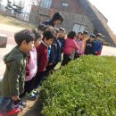 현대유치원 이미지