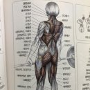 더블제이짐 이미지