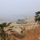 조개체험장  대죽 이미지