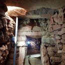 영남대학교 자연박물관 이미지