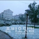 처음처럼 민박 이미지