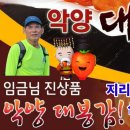 임금님 진상품 대봉감 지리산둘레길 12구간코스 삼화실~대축마을 이미지