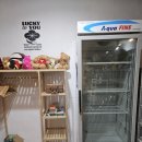 흥자당구클럽 | [대구 파티룸] 대구 파티룸 밀리언 파티룸 대구본점 후기! 50평 단독대관에 노래방, 다트, 포토존에...