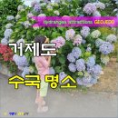 학동리조트펜션 이미지