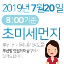 2019년 7월20일(토요일) 오전8:00 기준 부산전지역 초미세먼지 및 일일/주간 날씨정보 이미지