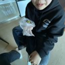 BHC치킨 고한사북점 | 얼렁땡뚱이의 삶 [1-3월]