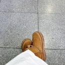 까치공원 맞은편 | [2025.12.28-30. 경주, 대구 2박3일 자매 여행] (+긴 글 주의) 연화/디저트시네마/심상/로제드파리...