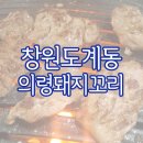 의령돼지꼬리 - 창원시 의창구 원이대로55번길 8-4 | 의령돼지꼬리