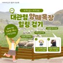 "강릉 아리바우길 걷기 여행으로 산불 피해지역 관광 활성화" 이미지