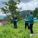 산사태 이미지