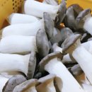 달을보는농부 이미지