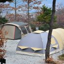 구봉산오토캠핑장 나인힐스 이미지