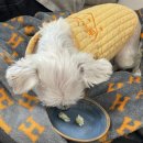 로즈그레이스 이미지