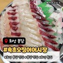 화성프라자 | 화성 봉담 맛집 속초오징어어시장 봉담점 가성비 횟집 솔직 방문 후기