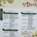 부여 세도 방울토마토 유채꽃 축제후기 :: 포토존/먹거리 다양