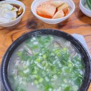 장기시장 | 포항 죽도시장 현지인 찐맛집 장기식당 방문후기