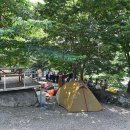 느티나무야영장 이미지