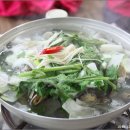 돌고래횟집 - 청주시 상당구 | 돌고래횟집