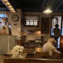 그루비멍 이미지