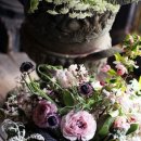 스테이위드유(stay with you) 이미지