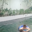 티홍